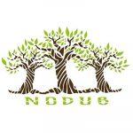 Logo Nodus